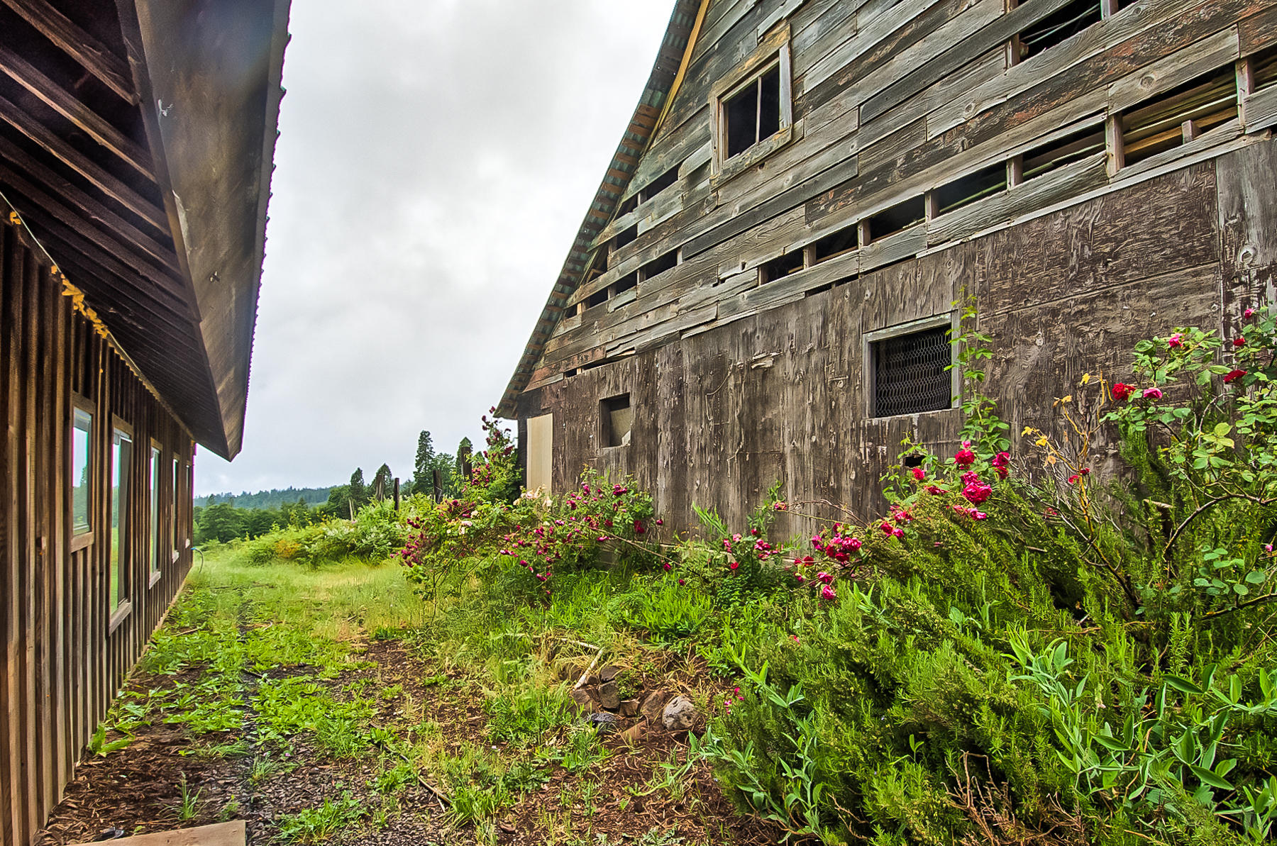 19650 Cove Road Montgomery Creek, CA 96065 - Photo 42 of 70 montgomery crk-132