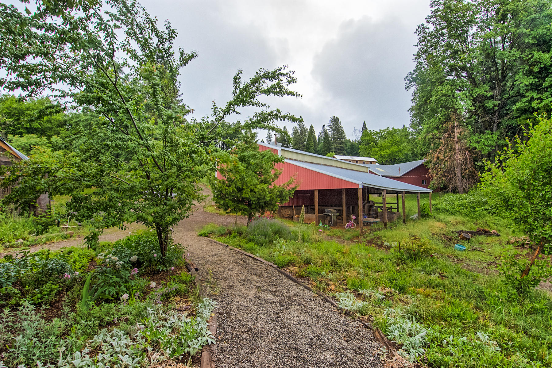 19650 Cove Road Montgomery Creek, CA 96065 - Photo 43 of 70 montgomery crk-140