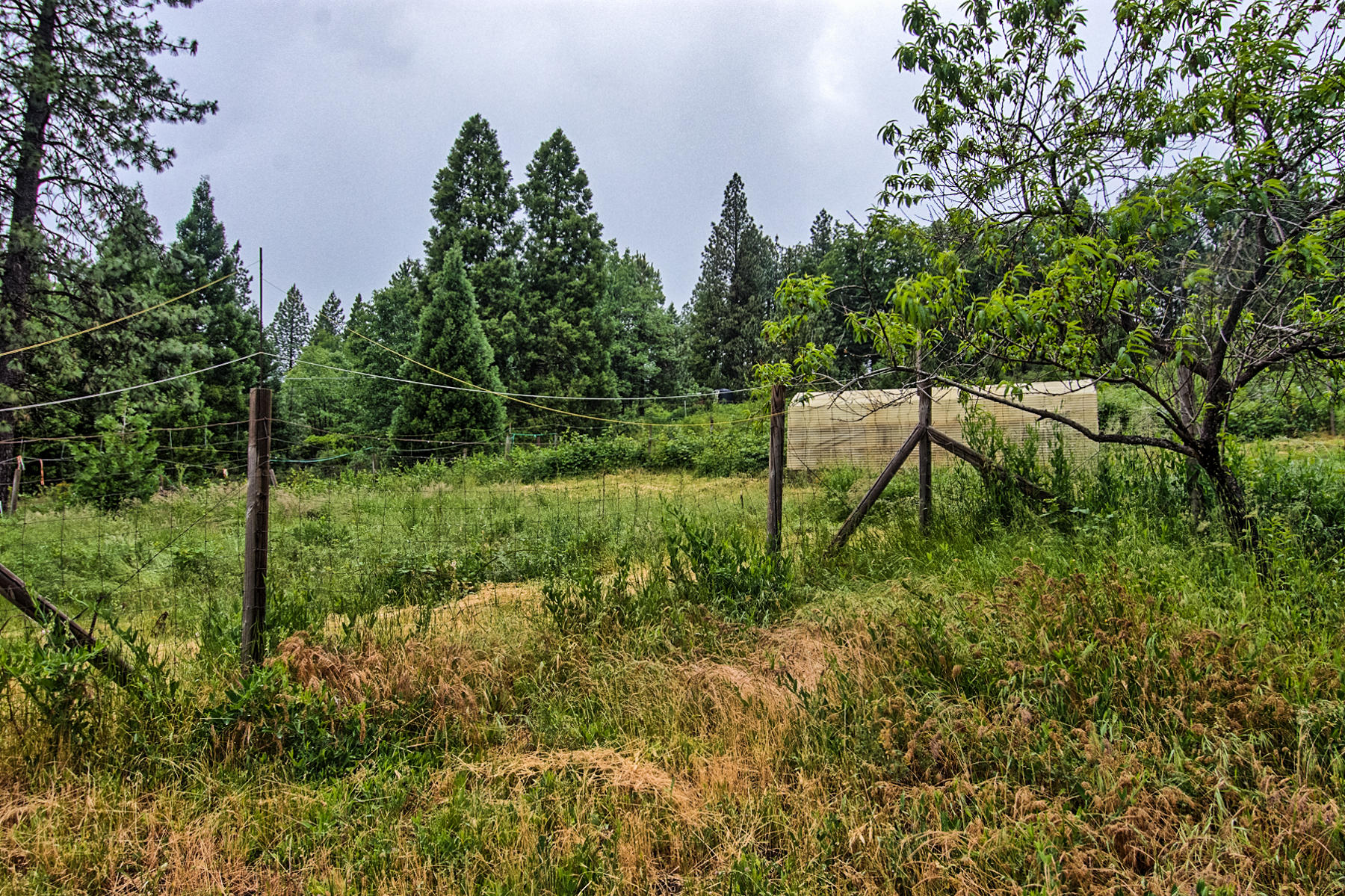 19650 Cove Road Montgomery Creek, CA 96065 - Photo 66 of 70 montgomery crk-159