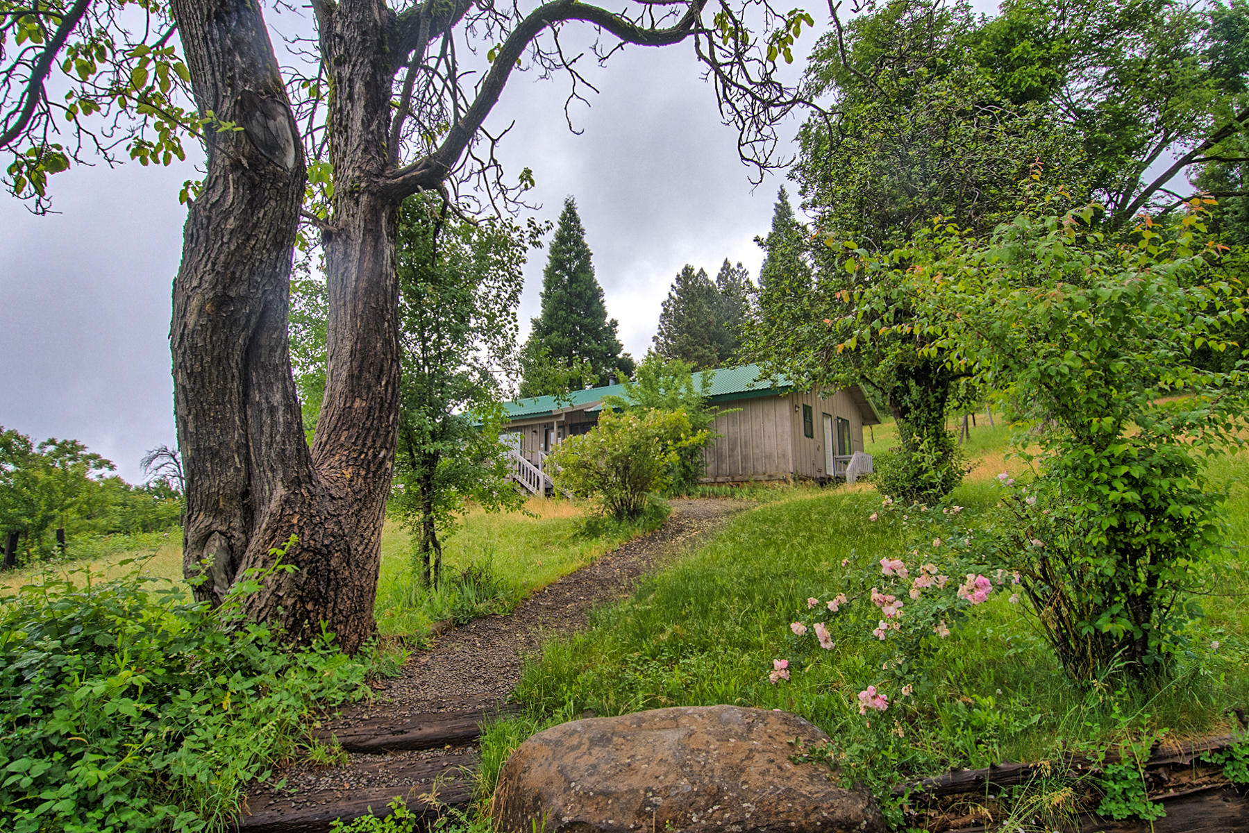 19650 Cove Road Montgomery Creek, CA 96065 - Photo 8 of 70 montgomery crk-101