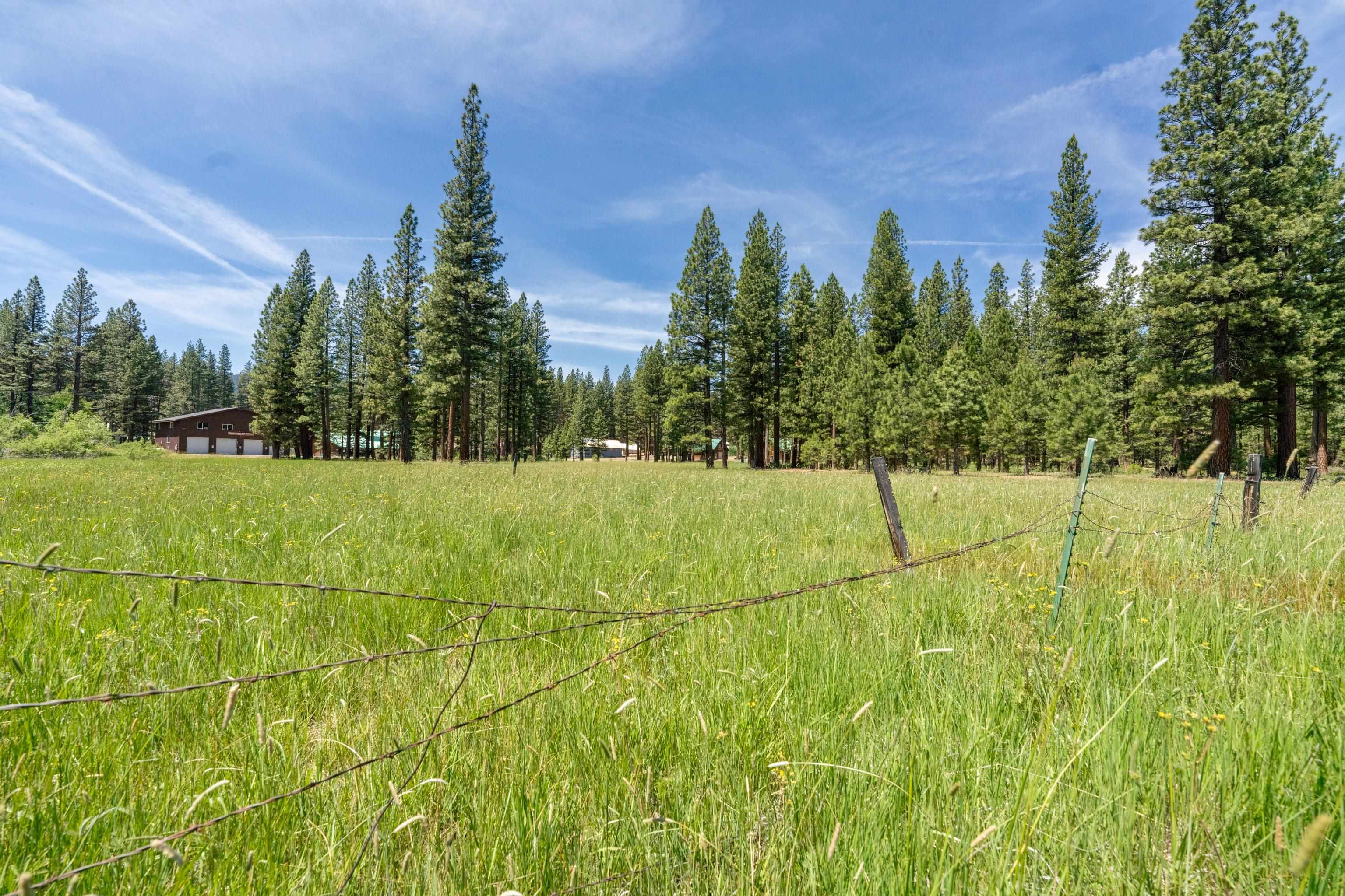 97 Main Street Calpine, CA 96124 - Photo 43 of 46