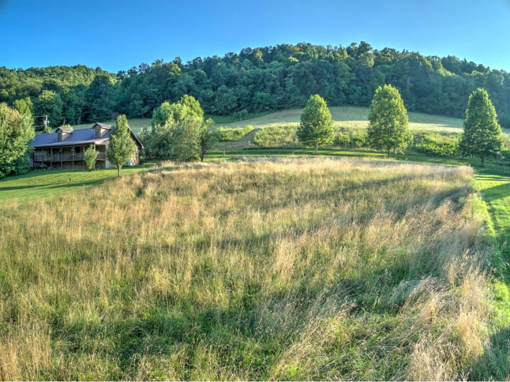 0 Laurels Road Johnson City, TN 37601 - Photo 3 of 17 Photo 3