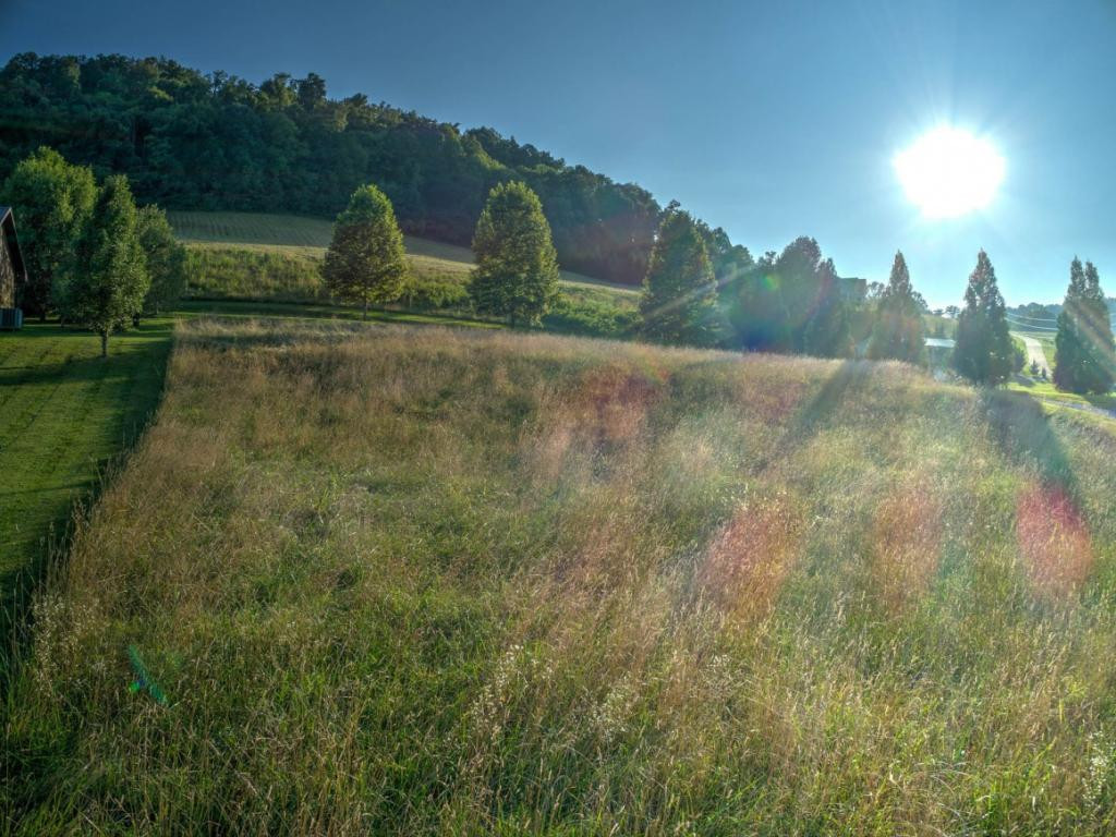 0 Laurels Road Johnson City, TN 37601 - Photo 5 of 17 Photo 5