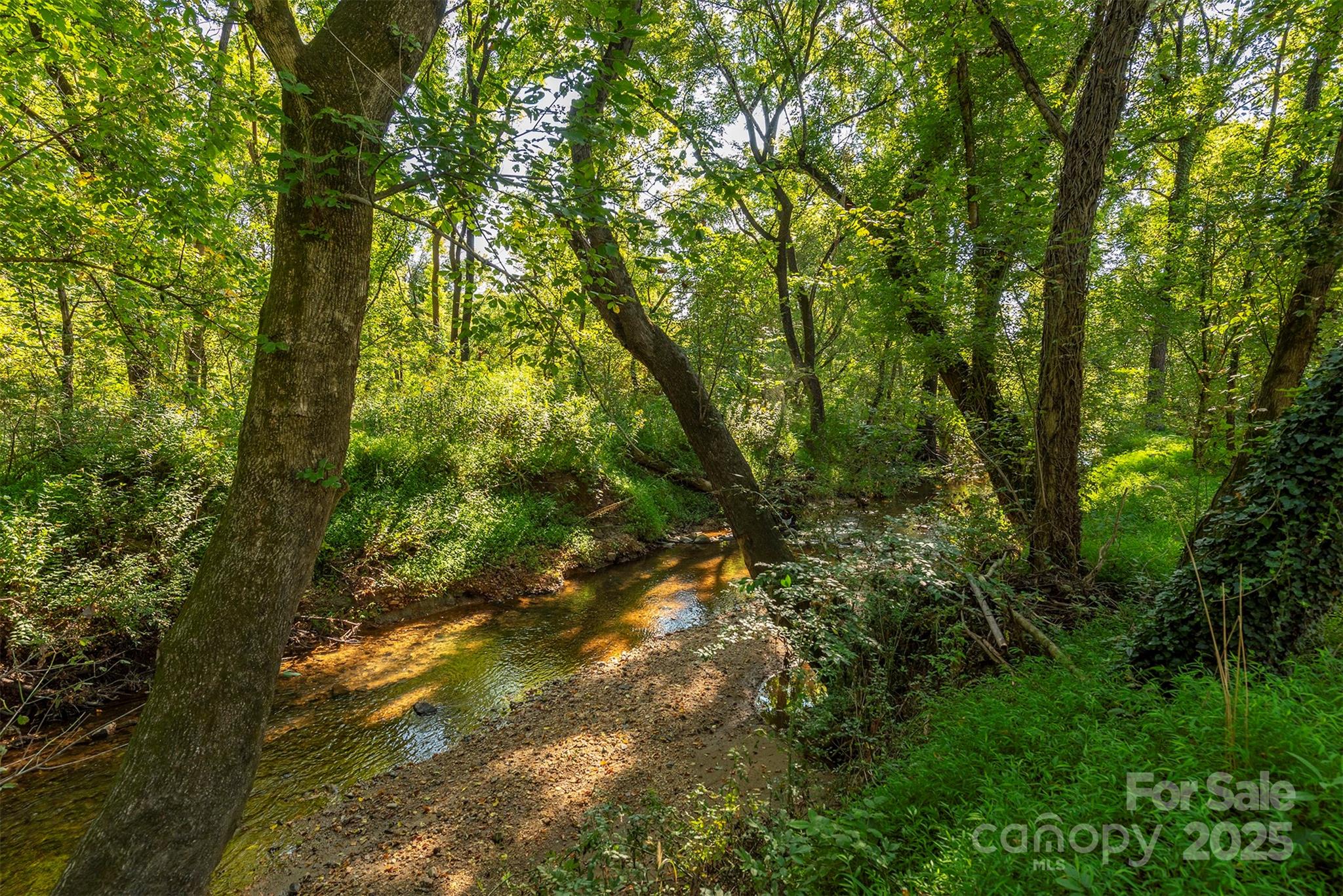 2305 Rutherford Road Marion, NC 28752 - Photo 36 of 38