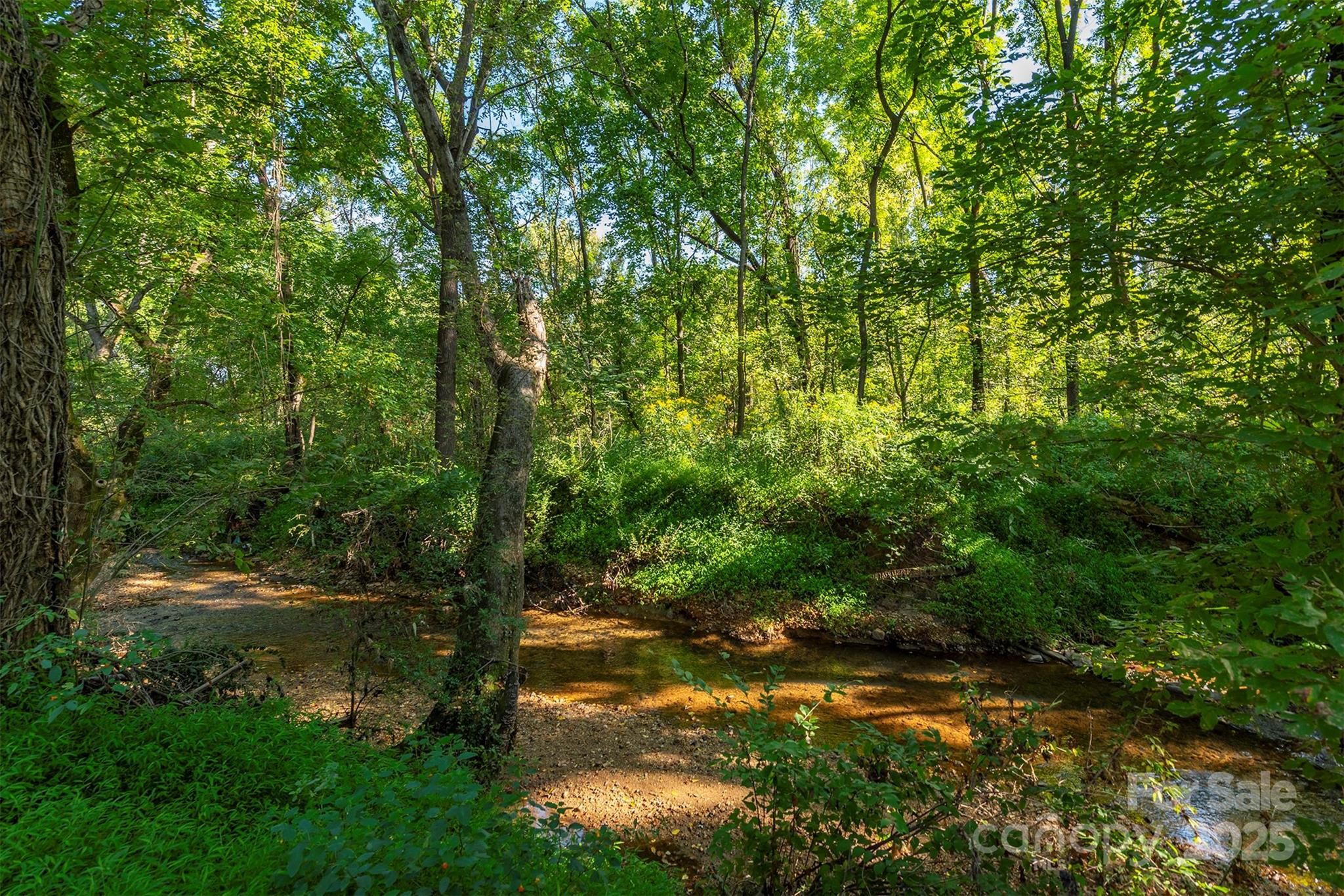 2305 Rutherford Road Marion, NC 28752 - Photo 37 of 38