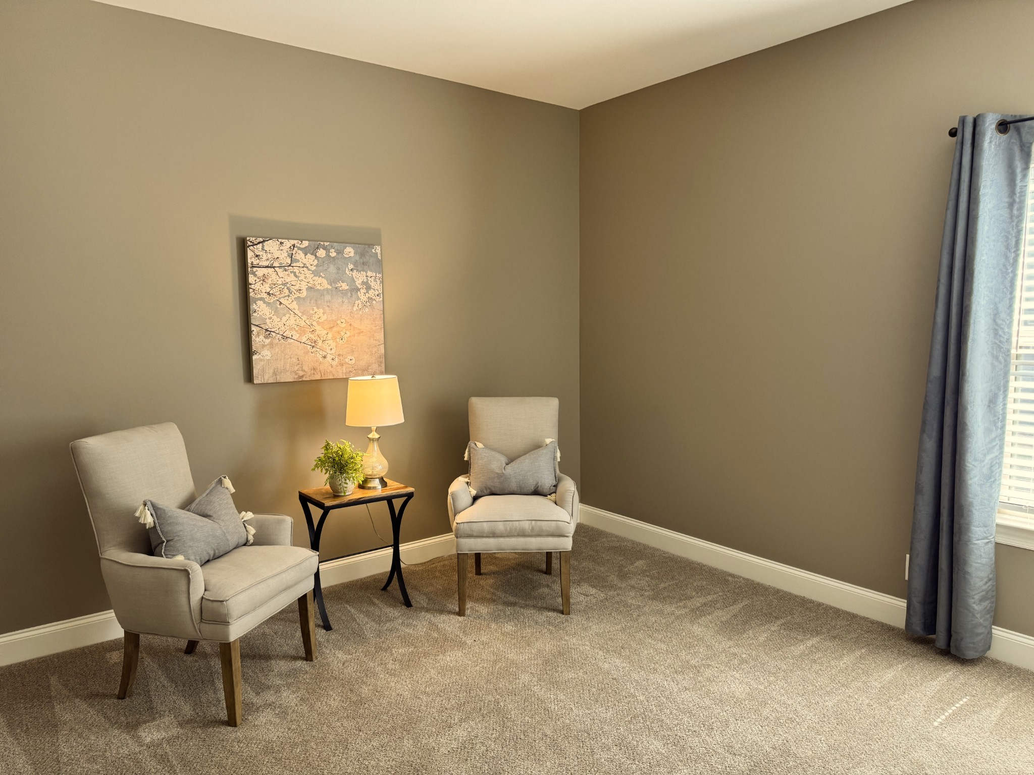 1011 Licinius Lane Murfreesboro, TN 37128 - Photo 19 of 31 a living room with furniture and a window