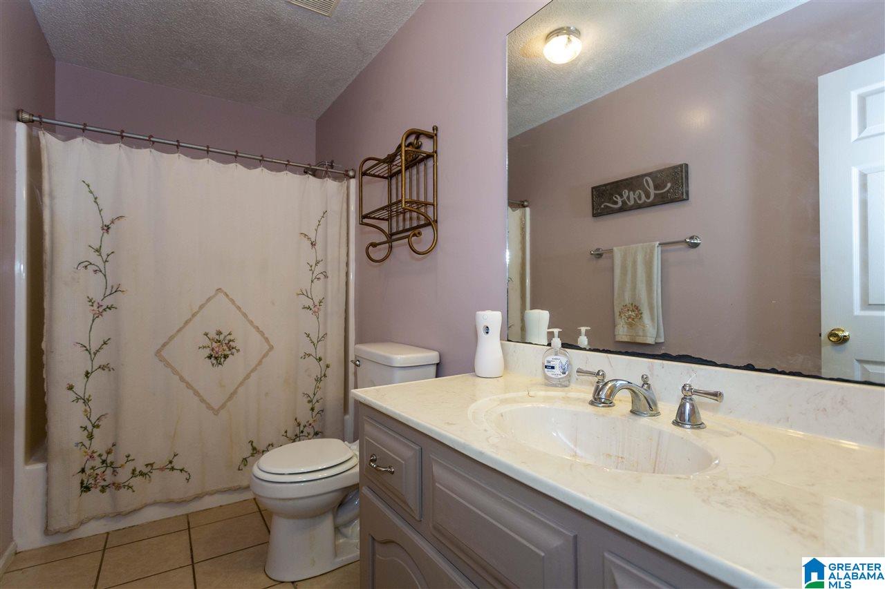 384 Bill Gross Camp Road Bessemer, AL 35023 - Photo 32 of 47 Gallery Image 32