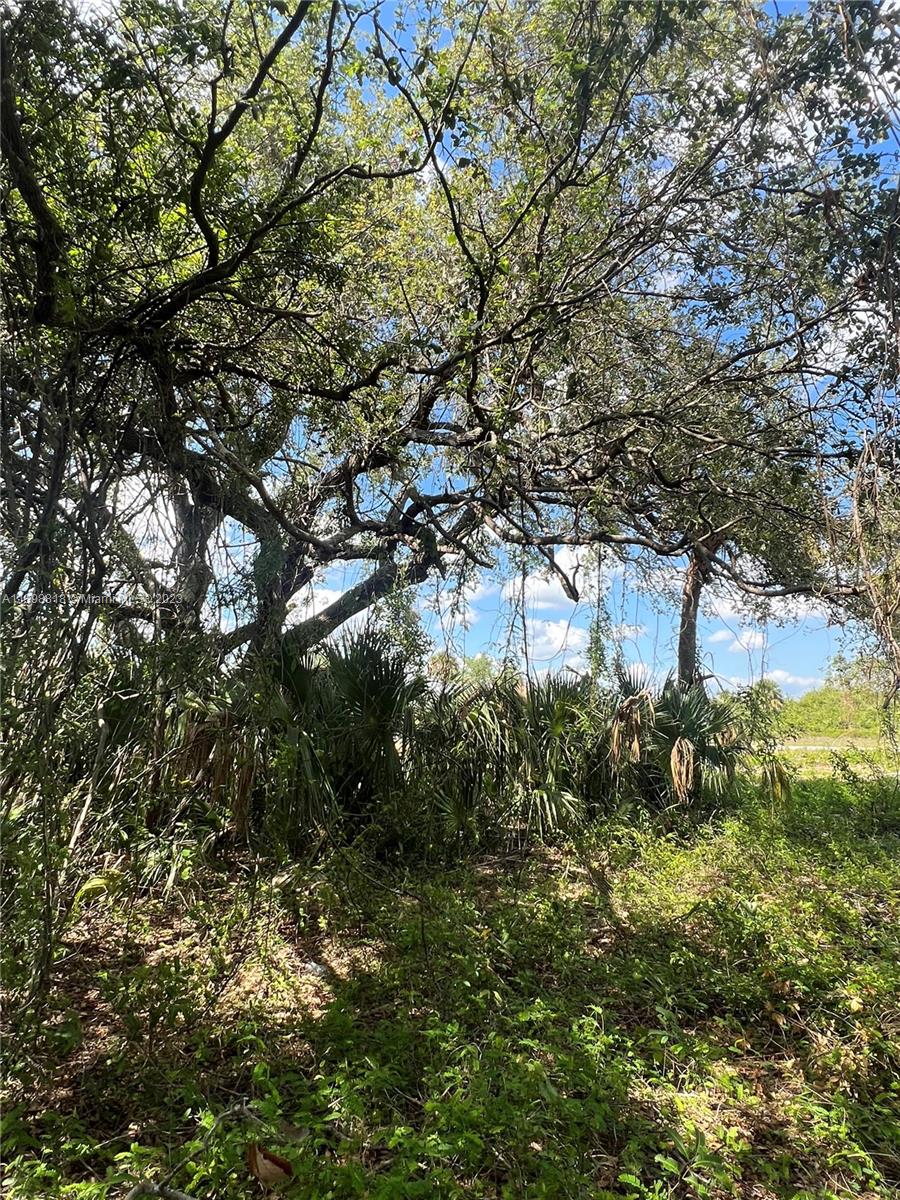 3013 Lancer Road LaBelle, FL 33935 - Photo 6 of 6 Gallery Image 6