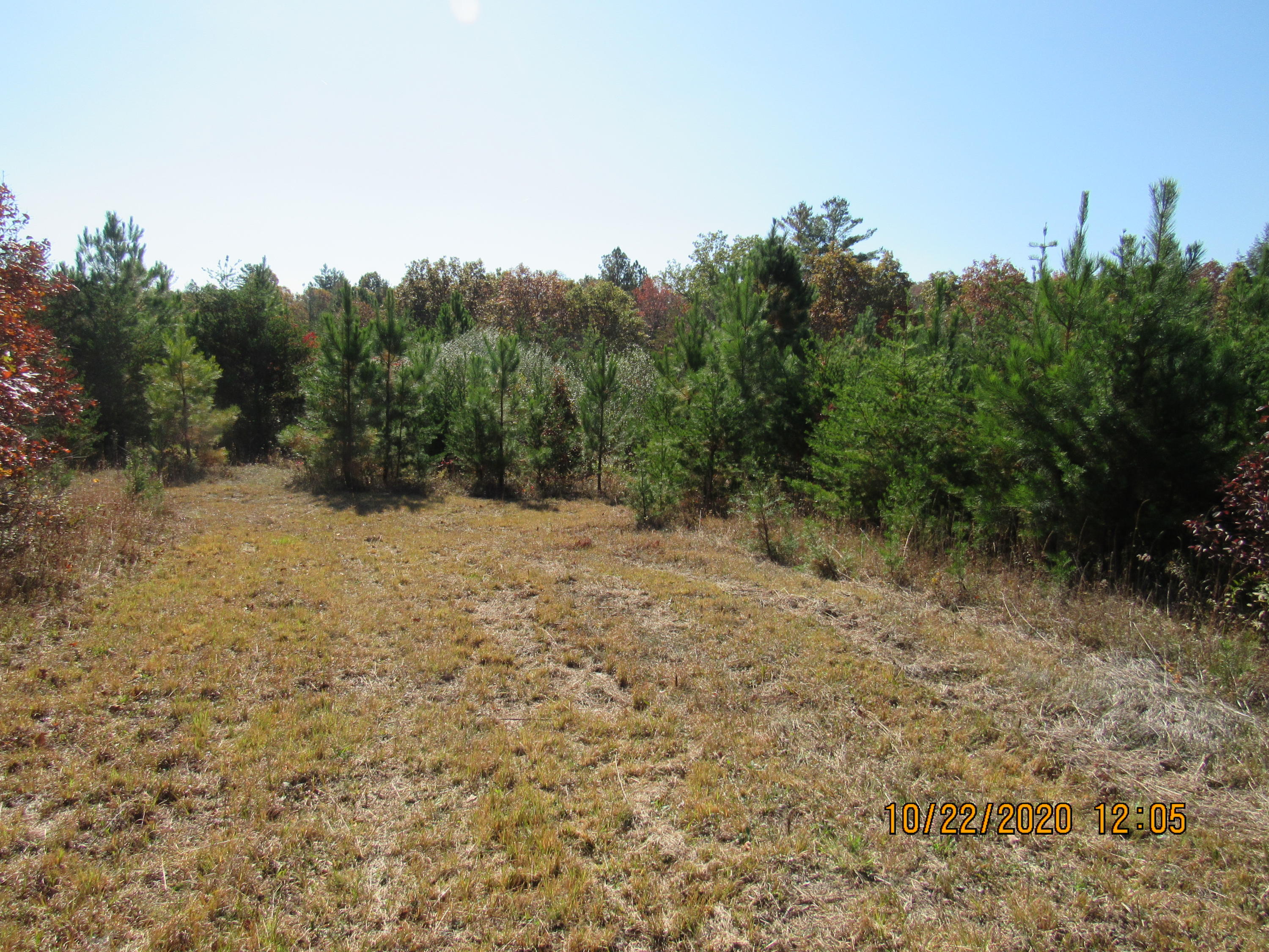 2607 Potters Chapel Road Lancing, TN 37770 - Photo 2 of 20 IMG_2975