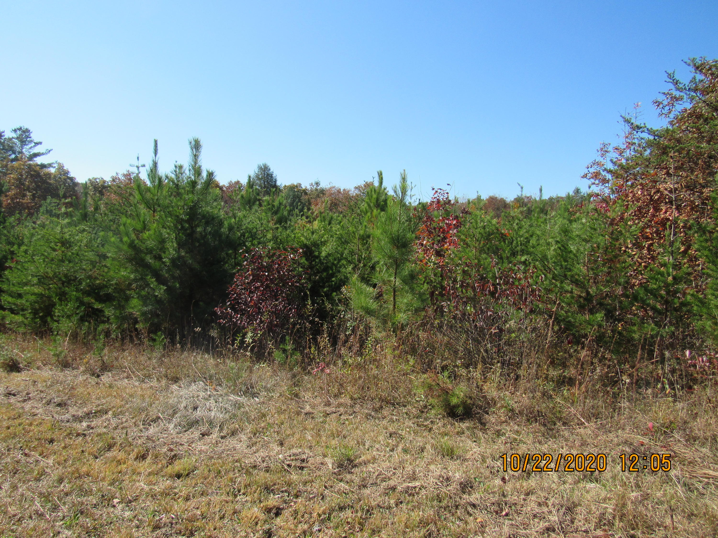 2607 Potters Chapel Road Lancing, TN 37770 - Photo 3 of 20 IMG_2976