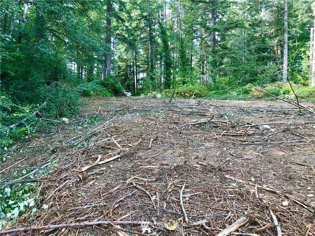 924 Southwest J H Road Port Orchard, WA 98367 - Photo 2 of 11 Gallery Image 2