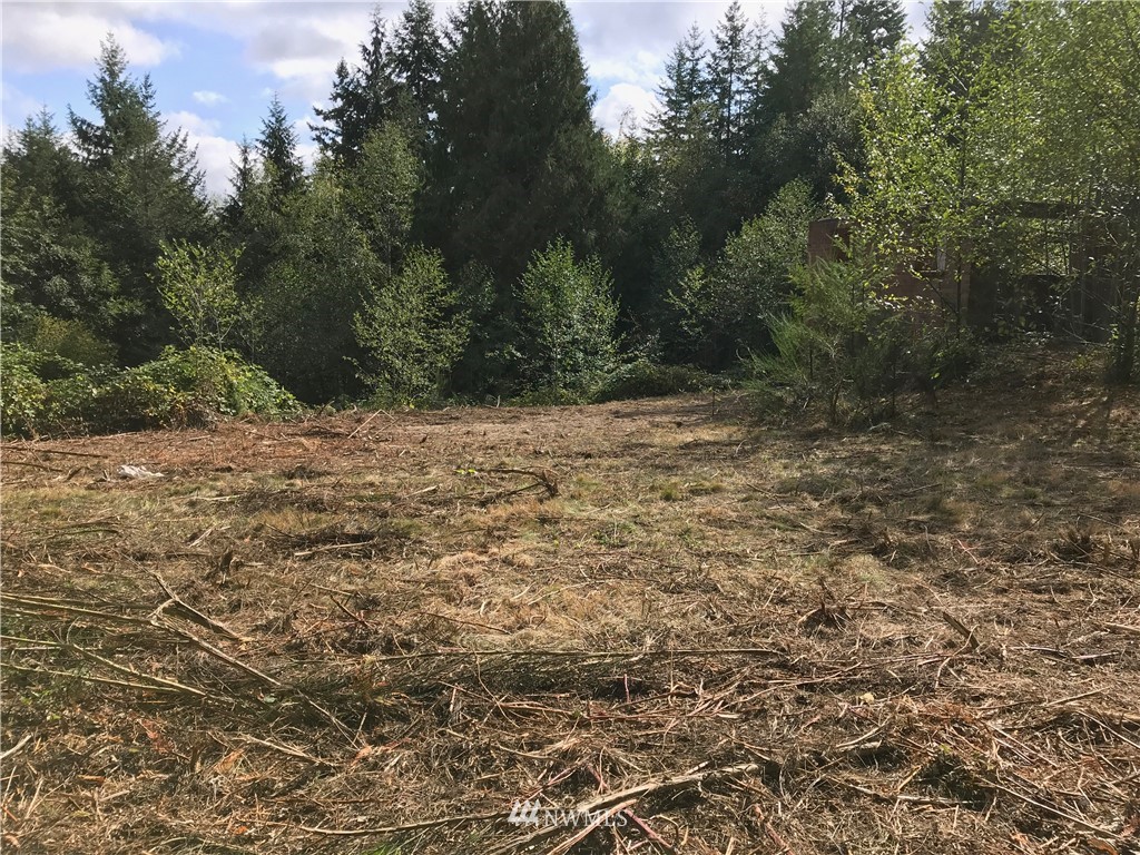 924 Southwest J H Road Port Orchard, WA 98367 - Photo 7 of 11 Gallery Image 7