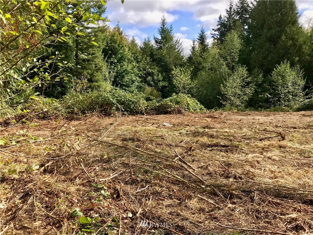 924 Southwest J H Road Port Orchard, WA 98367 - Photo 9 of 11 Gallery Image 9