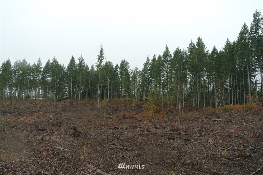 0 East Thomas Road Grapeview, WA 98546 - Photo 12 of 25 Gallery Image 12