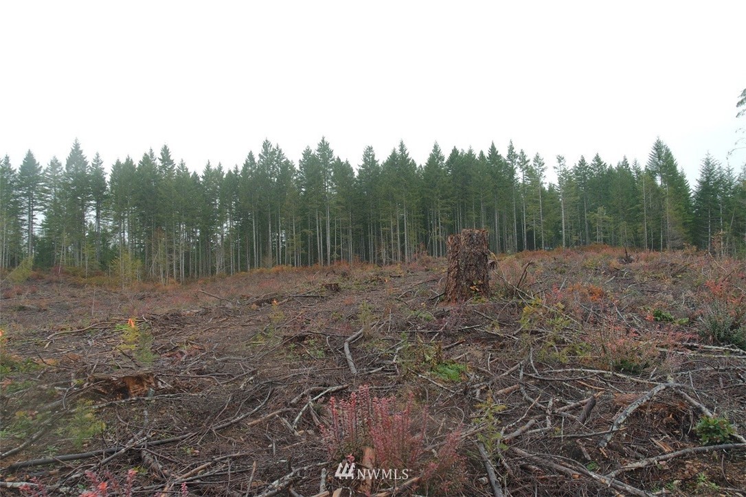0 East Thomas Road Grapeview, WA 98546 - Photo 13 of 25 Gallery Image 13