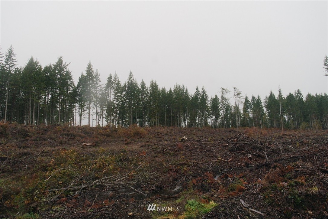 0 East Thomas Road Grapeview, WA 98546 - Photo 22 of 25 Gallery Image 22