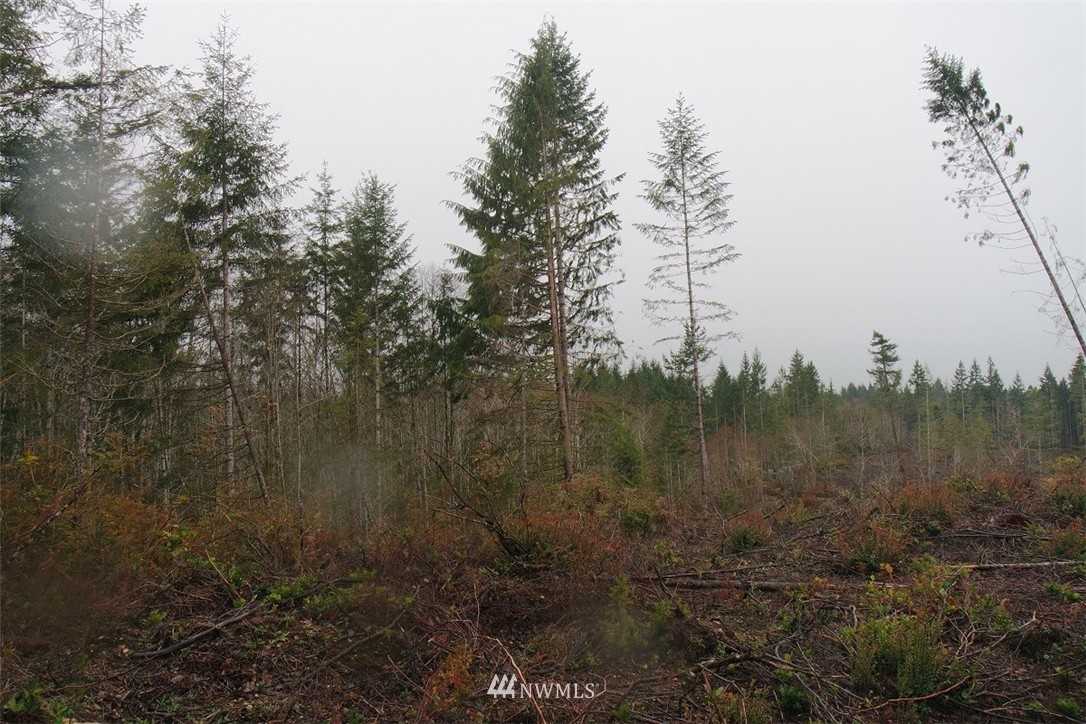 0 East Thomas Road Grapeview, WA 98546 - Photo 10 of 25 Gallery Image 10