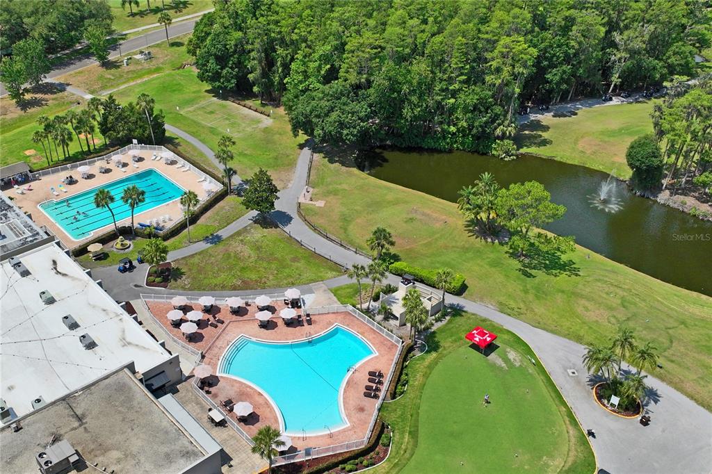 9108 Bassett Lane, Unit B New Port Richey, FL 34655 - Photo 46 of 66 an aerial view of a swimming pool with a yard and lake view
