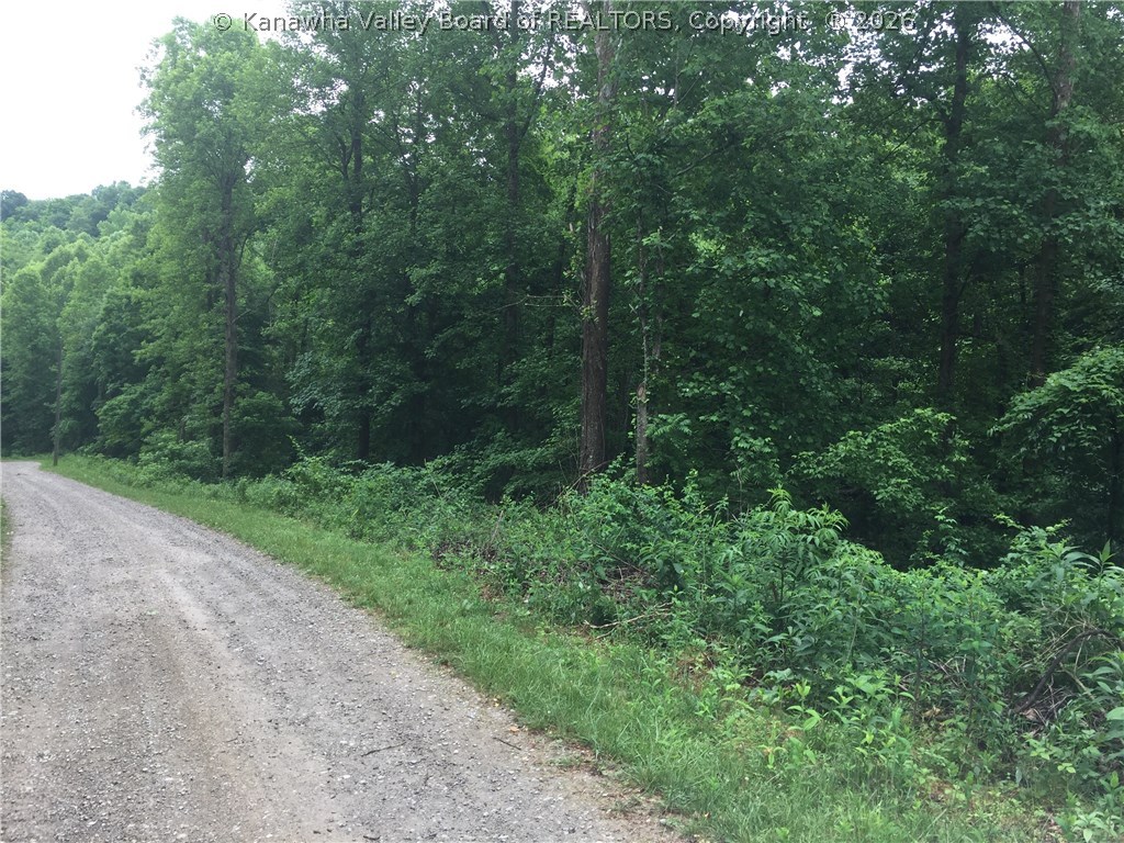 0 Beech Hill Road Poca, WV 25159 - Photo 6 of 10 Gallery Image 6