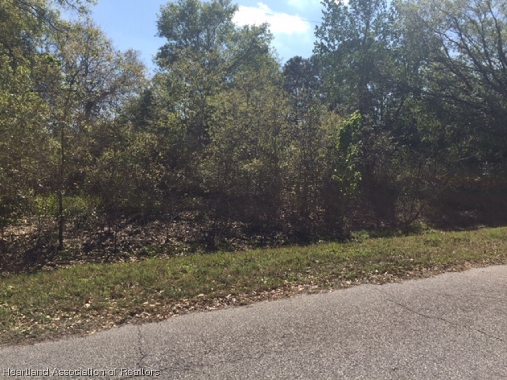 2887 West Matte Road Avon Park, FL 33825 - Photo 1 of 2 Gallery Image 1