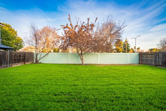 a view of a backyard with a garden and tree
