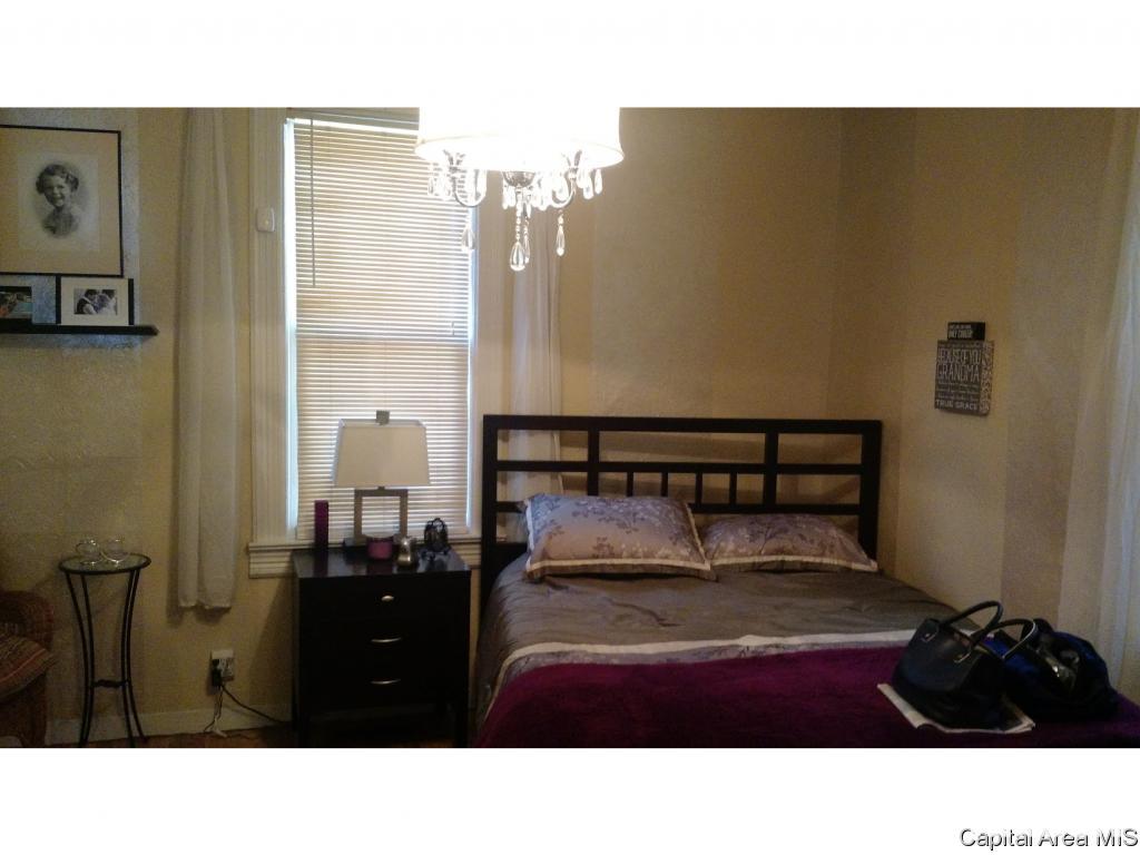 916 North 14th Street Springfield, IL 62702 - Photo 6 of 16