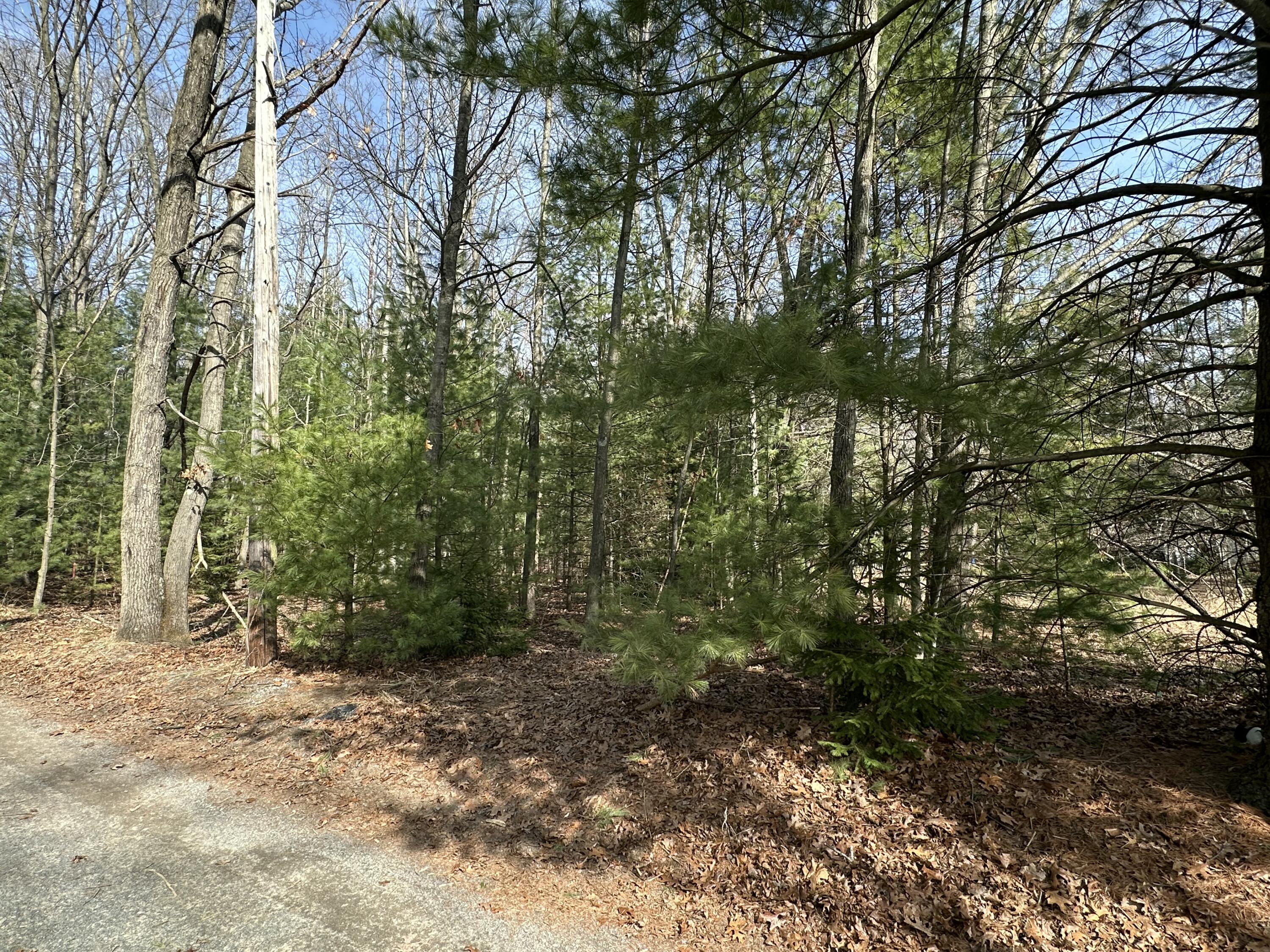 Sands Street Pentwater, MI 49449 - Photo 9 of 12 IMG_4526