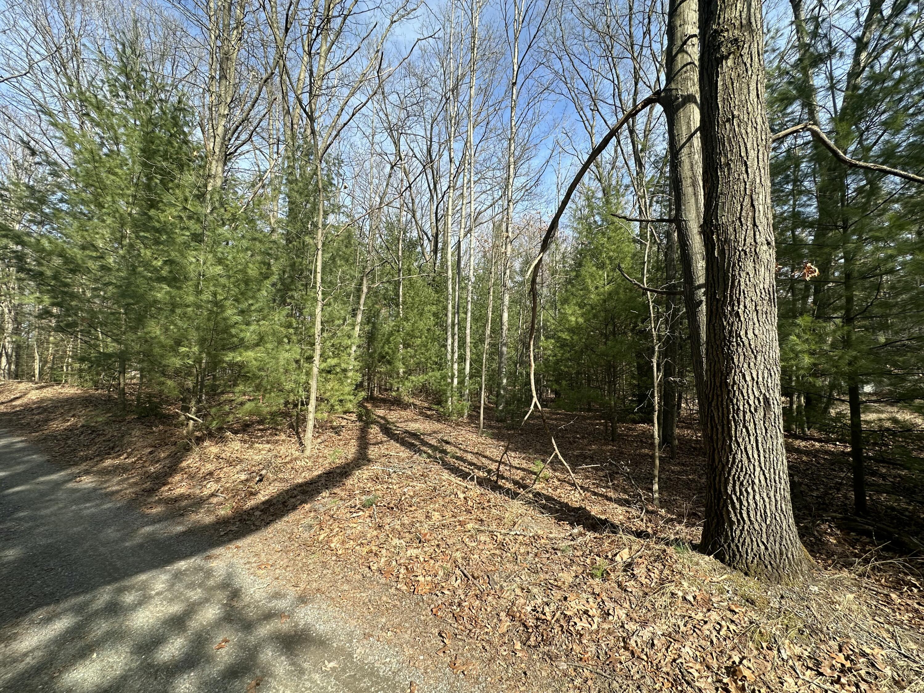 Sands Street Pentwater, MI 49449 - Photo 10 of 12 IMG_4527