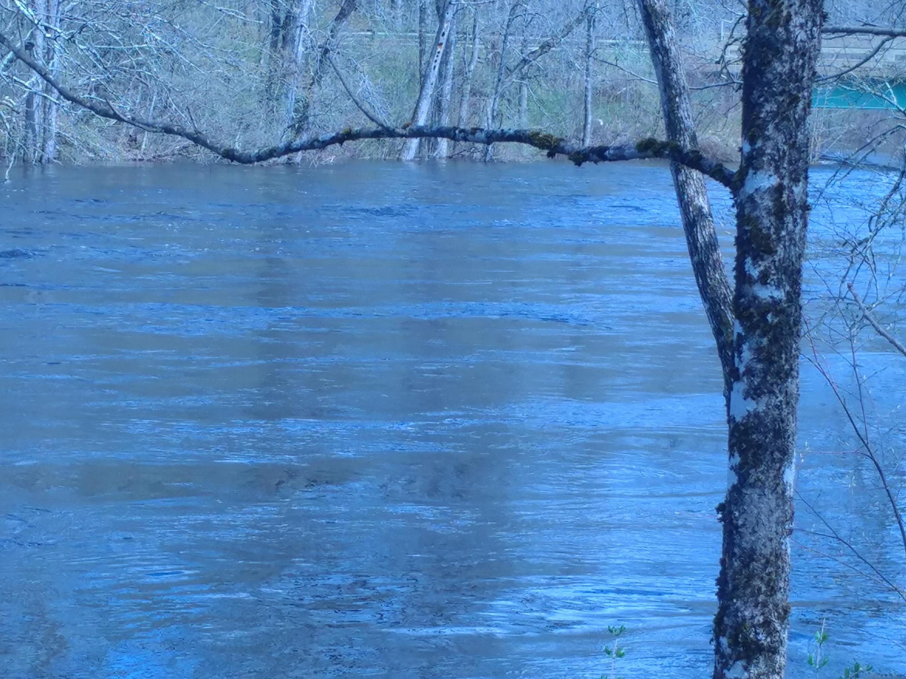 55 Martin Stream Road Newport, ME 04953 - Photo 36 of 40 20230502_142539
