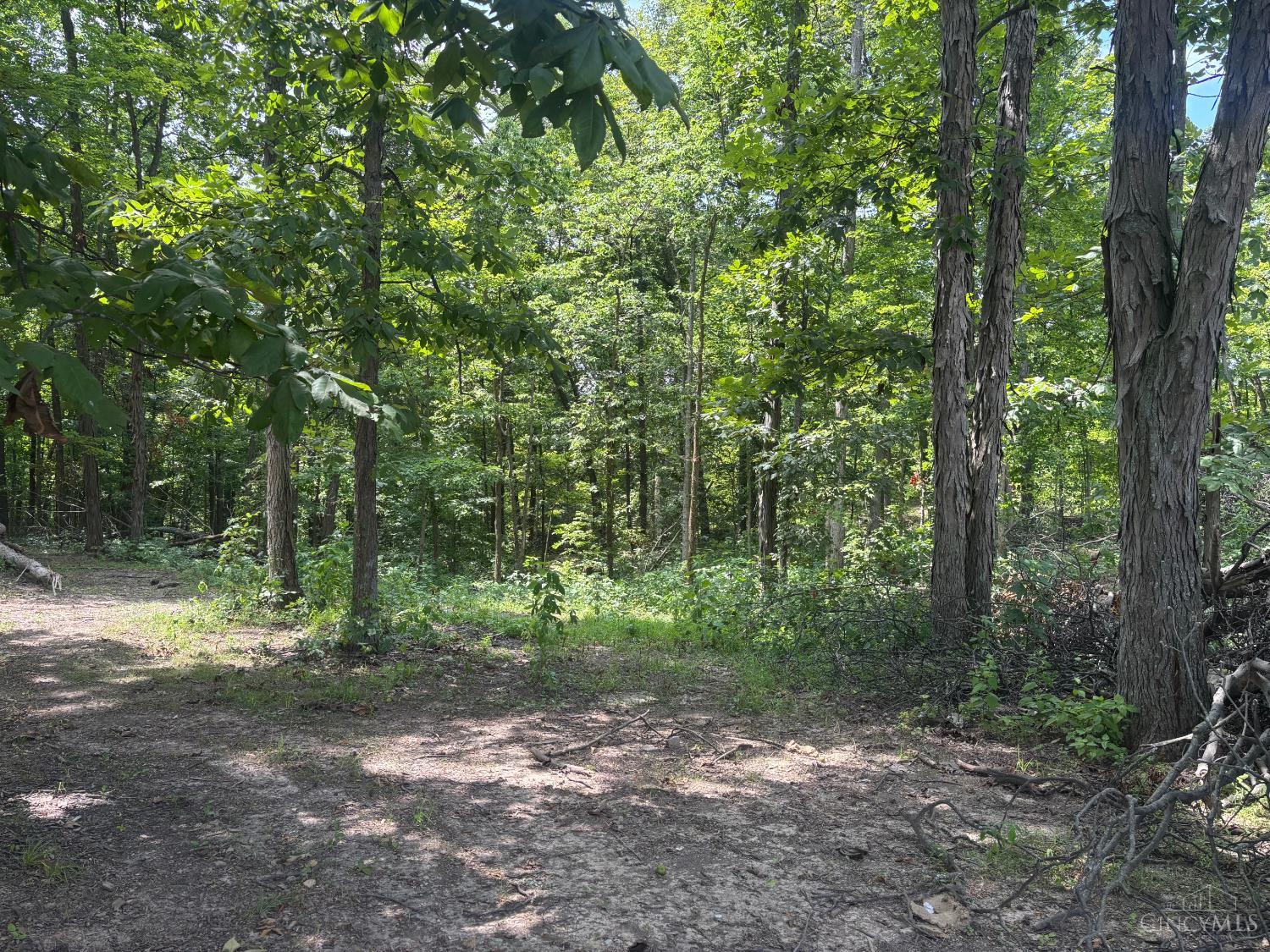 3 Jester Road Brookville, IN 47012 - Photo 3 of 3