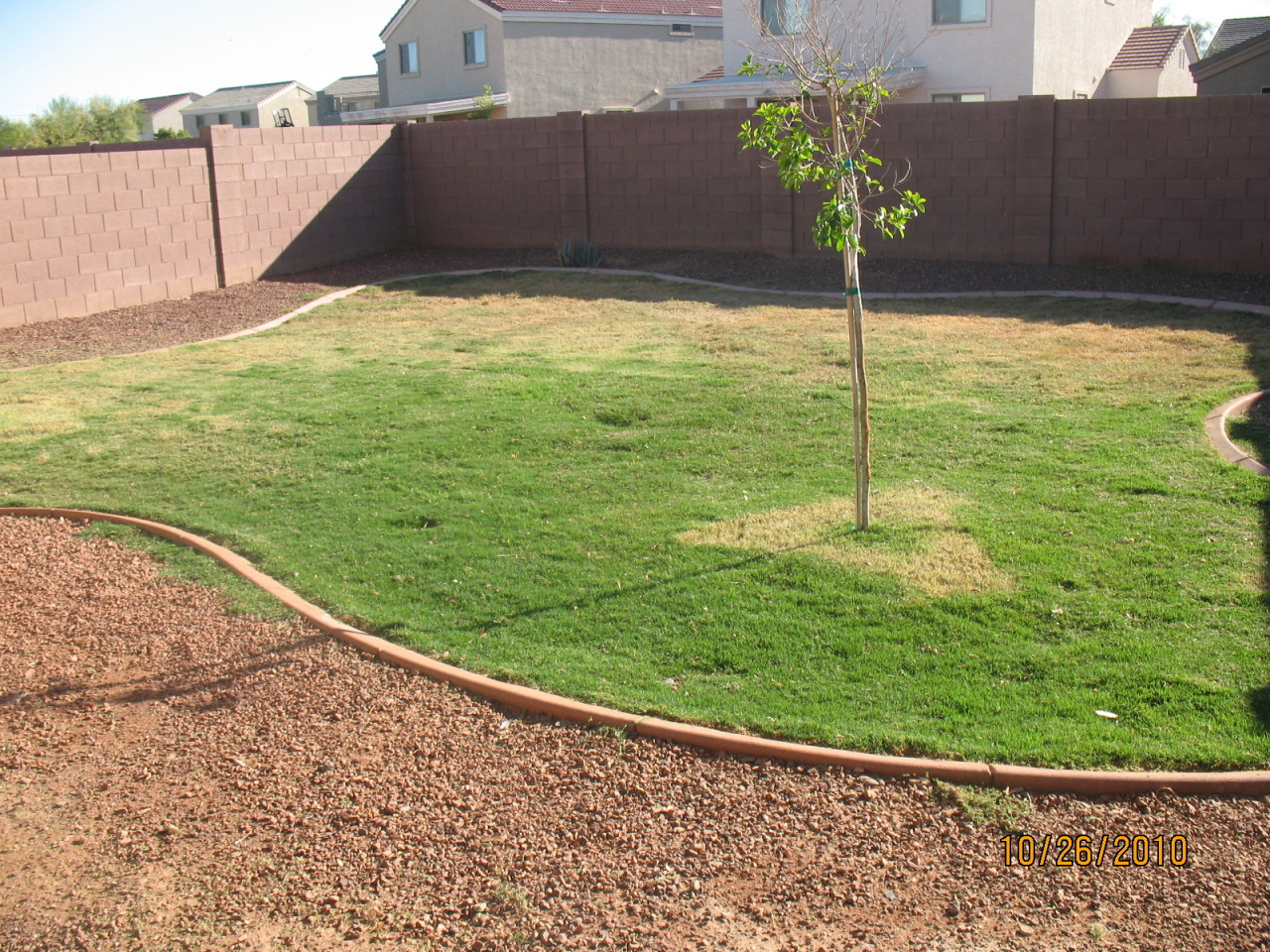 8511 West Payson Road Tolleson, AZ 85353 - Photo 1 of 37 BACK YARD