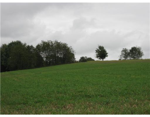 321 Isle Road Butler, PA 16001 - Photo 5 of 18 Land. Frontage on 3 roads.