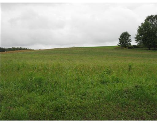 321 Isle Road Butler, PA 16001 - Photo 10 of 18 Land. Frontage on 3 roads.