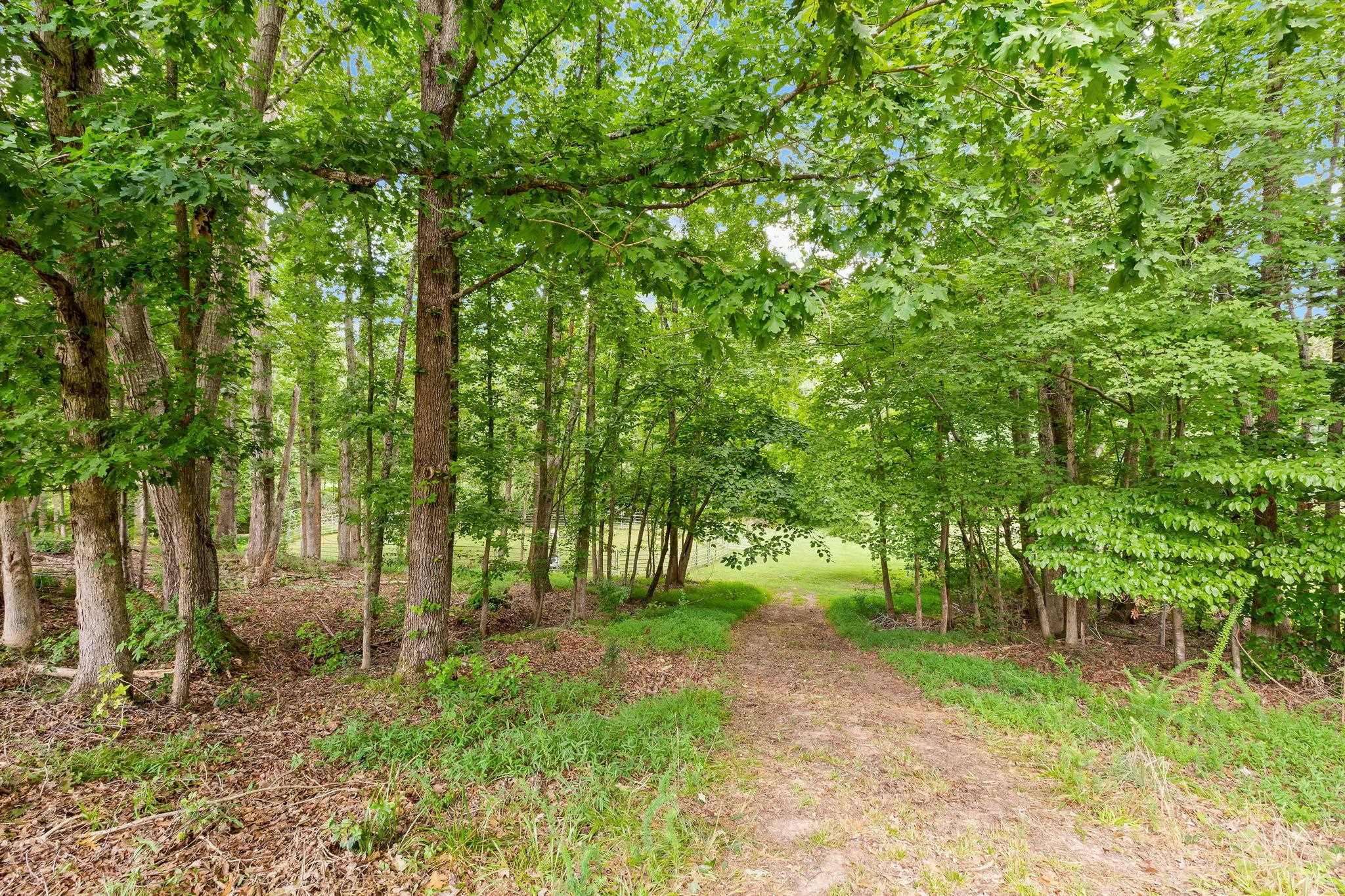 340 State Rd S-42-2215 Roebuck, SC 29376 - Photo 42 of 50