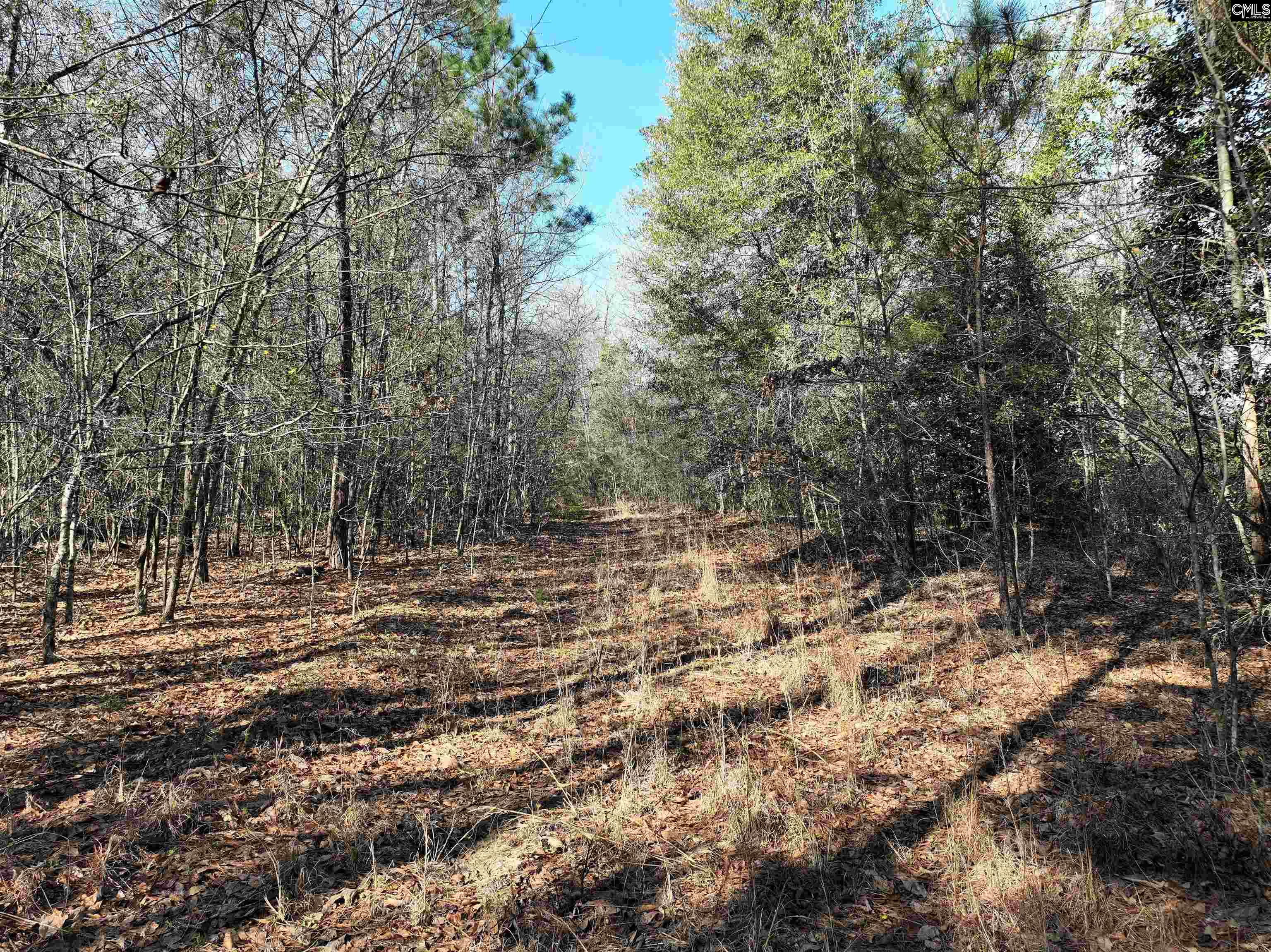 0 Salley Road Salley, SC 29137 - Photo 16 of 21
