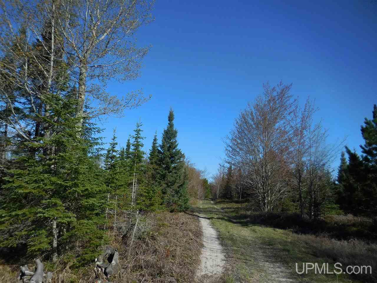 1480 Acres On Co Road Manistique, MI 49854 - Photo 14 of 49