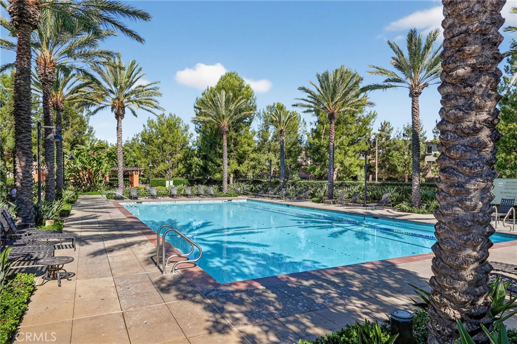 282 Borrego Irvine, CA 92618 - Photo 24 of 24 a view of a yard with palm trees