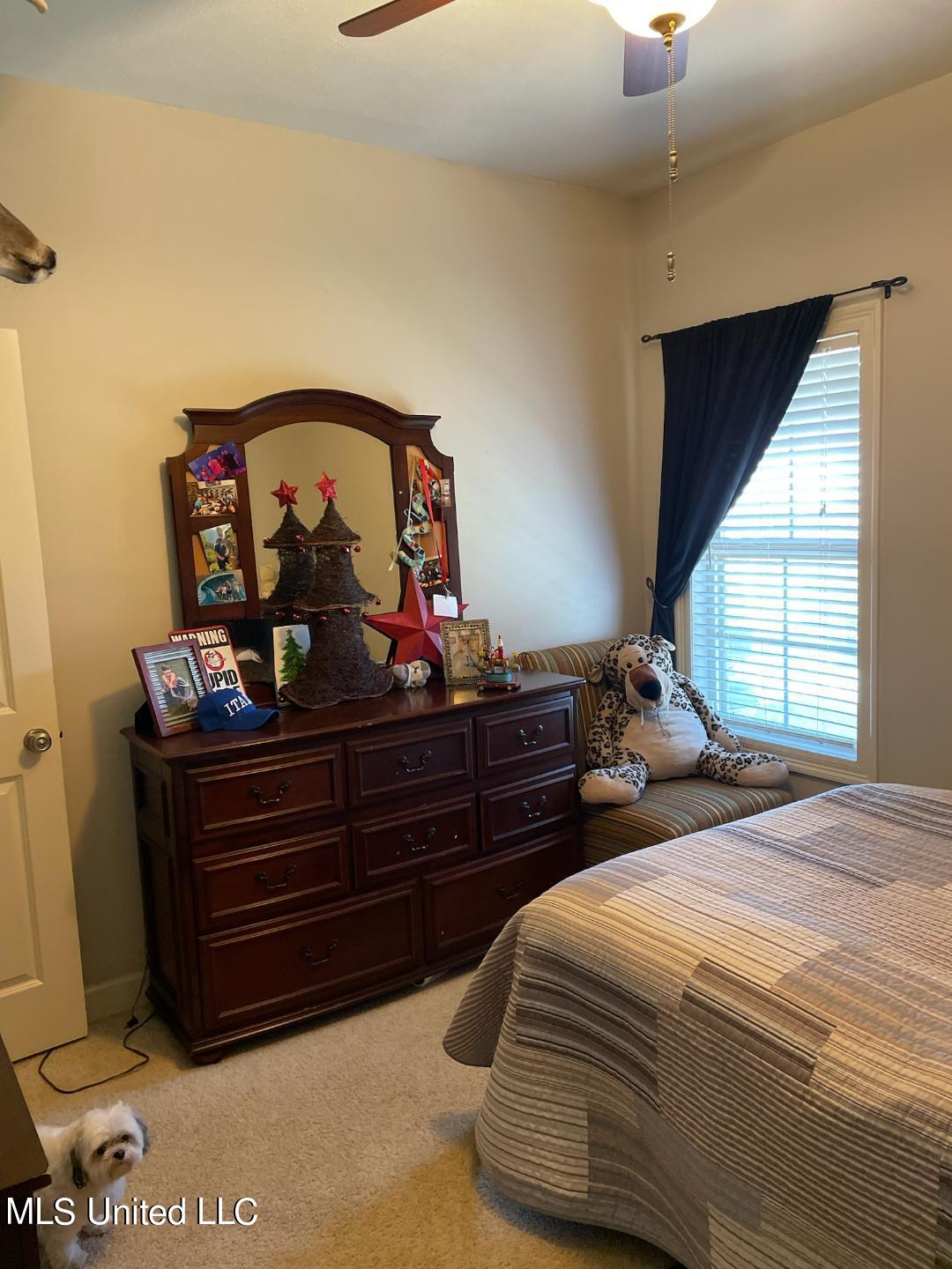 141 Prescott Ridge Madison, MS 39110 - Photo 14 of 30 cliff room 2