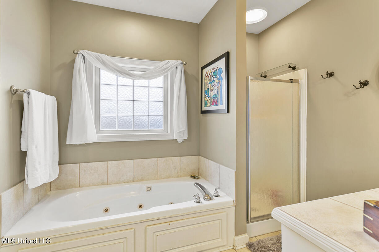 141 Prescott Ridge Madison, MS 39110 - Photo 23 of 30 master tub