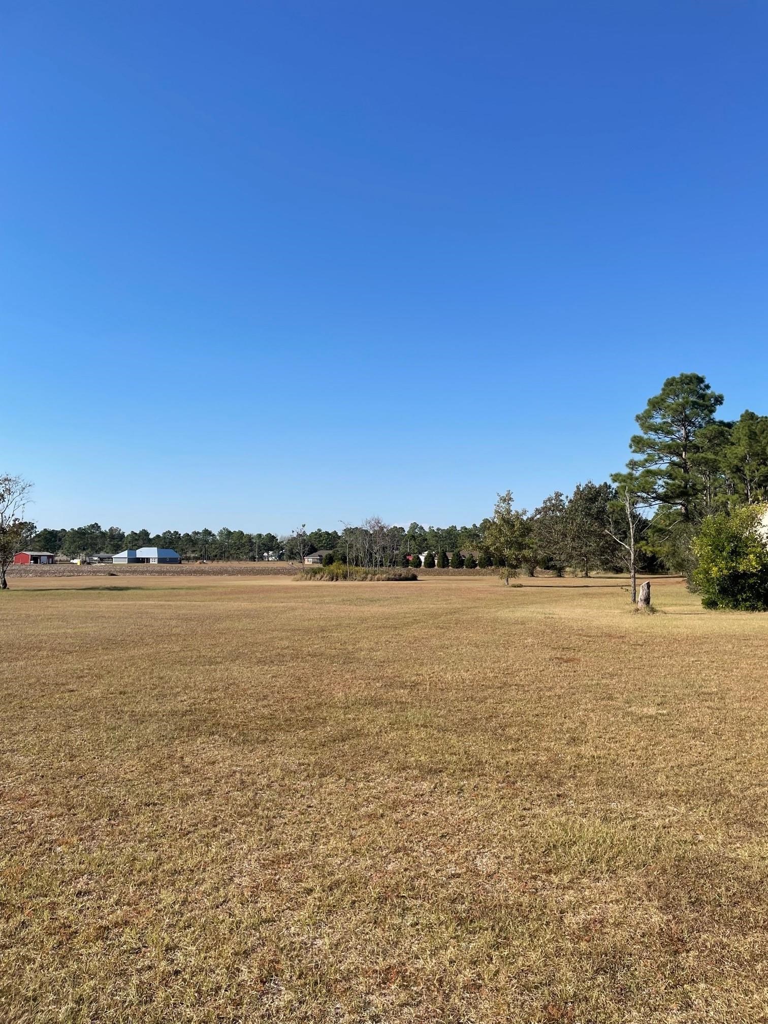 0 Glass And Spivey Road Robertsdale, AL 36567 - Photo 9 of 10