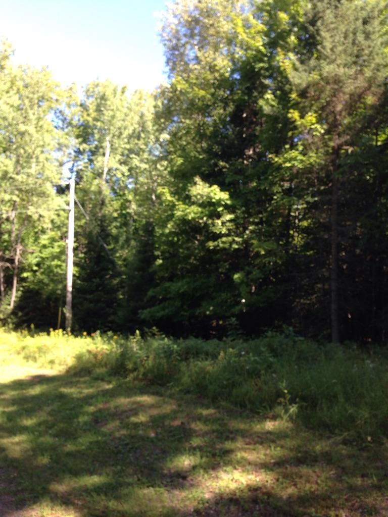 On Mueller Lane Presque Isle, WI 54557 - Photo 4 of 10 Gallery Image 4