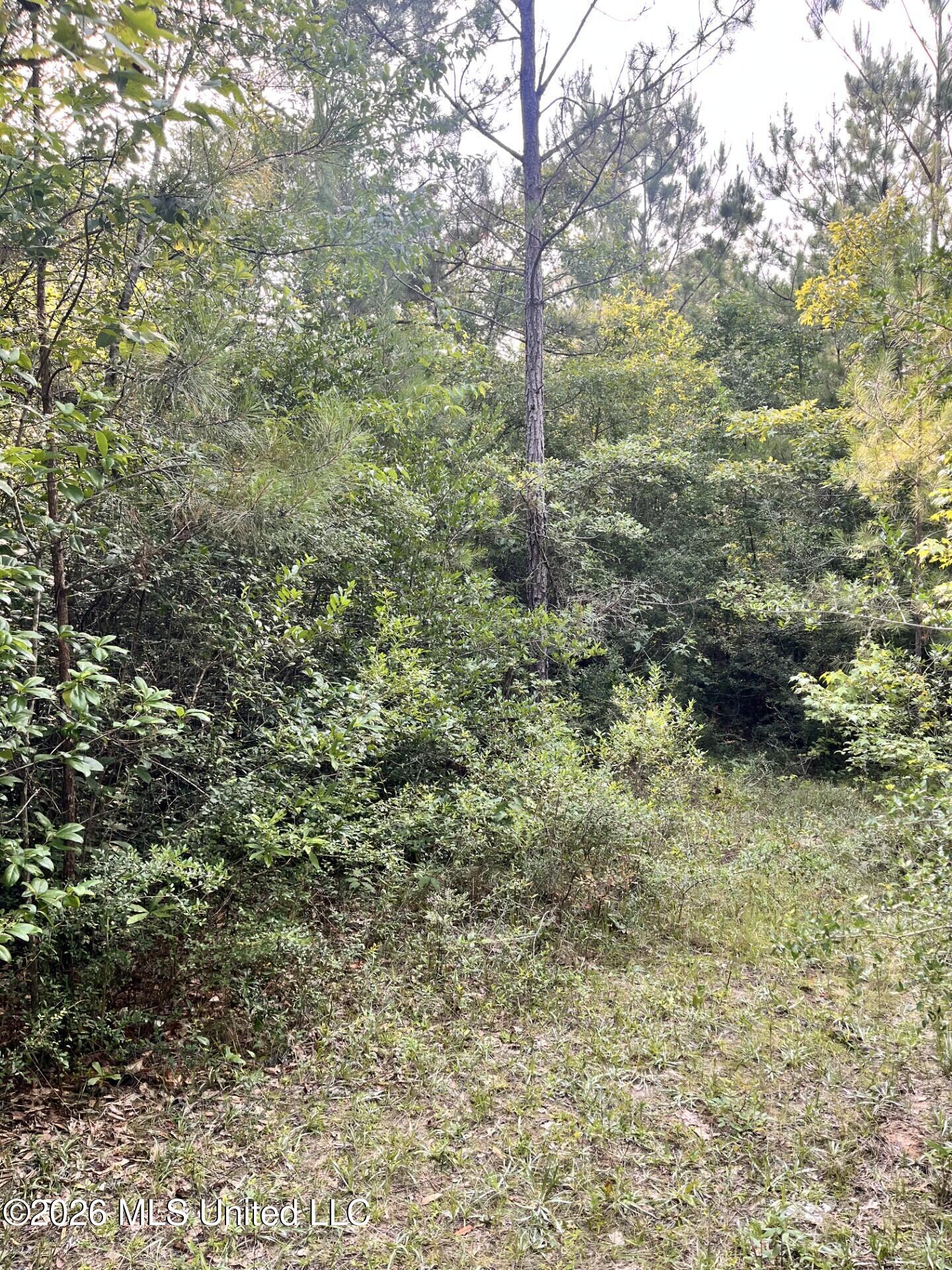 27 Roy Road Lumberton, MS 39455 - Photo 4 of 8 04014748-c75d-4c42-9c1e-a2739265b1fd