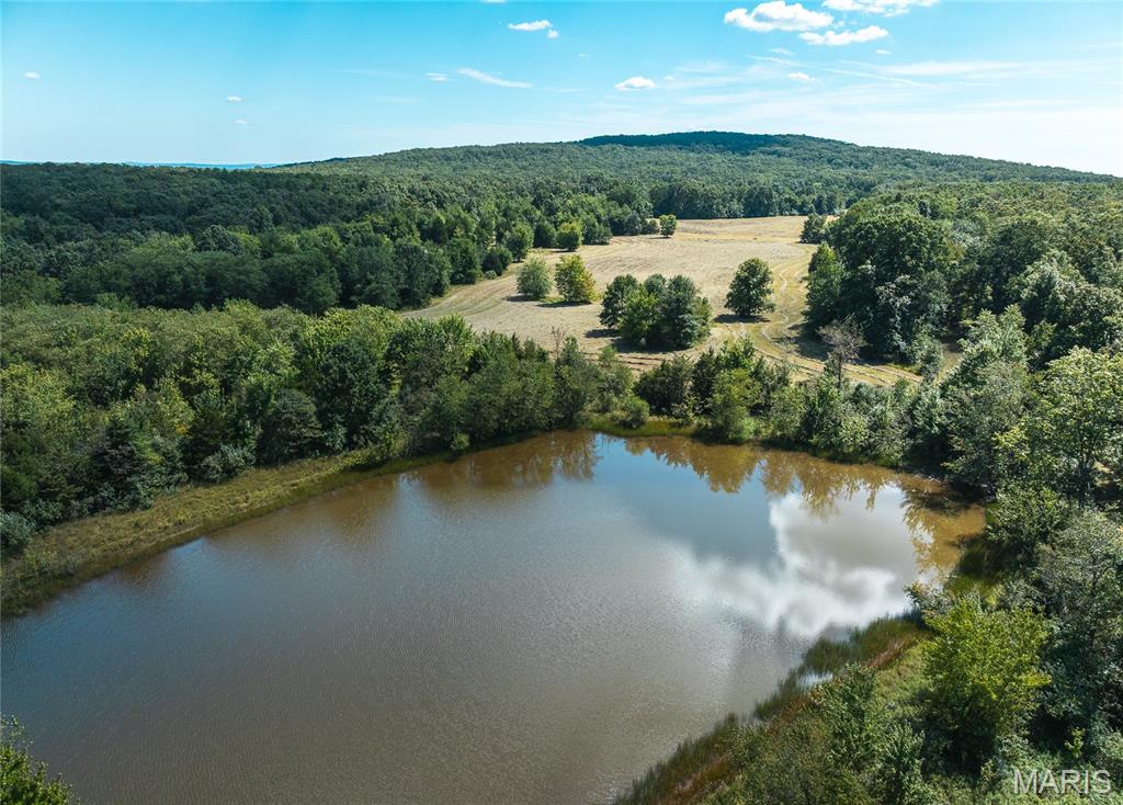 4 Buck Mountain Road Ironton, MO 63650 - Photo 15 of 27