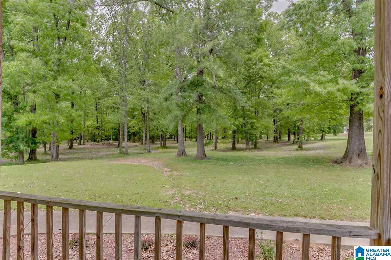 3073 Buttermilk Road Cordova, AL 35550 - Photo 22 of 30