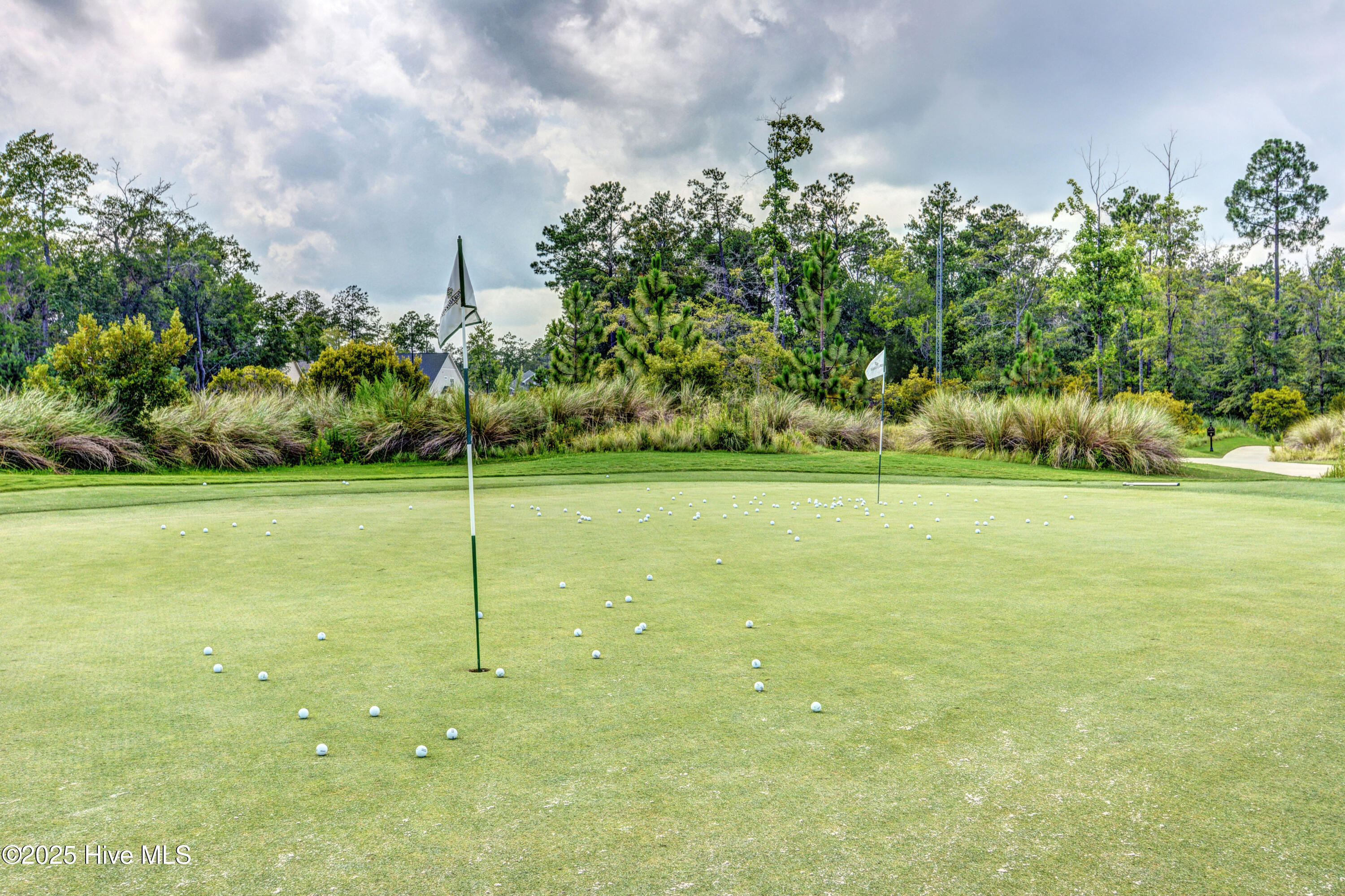 2065 Shelmore Way Leland, NC 28451 - Photo 45 of 52 DSC_0315_6_7