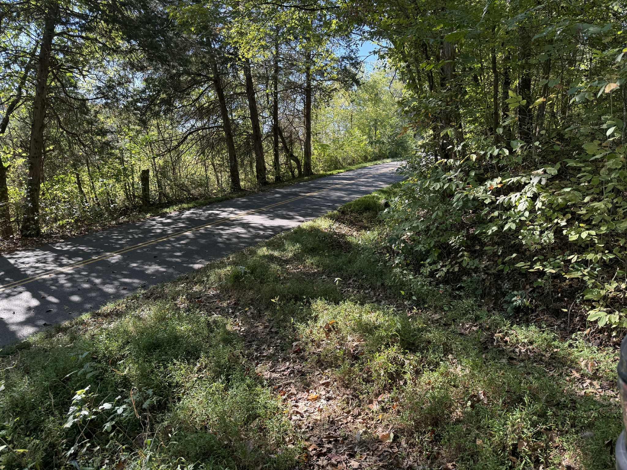 a view of outdoor space and tree