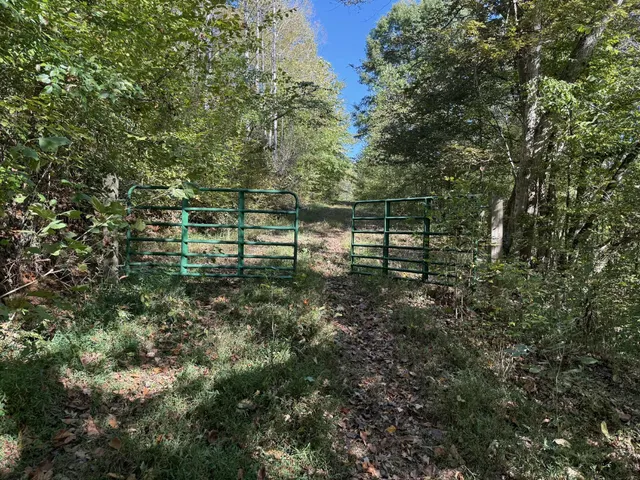 $229,900 | 2119 Bunches Chapel Road, Parsons, TN 38363