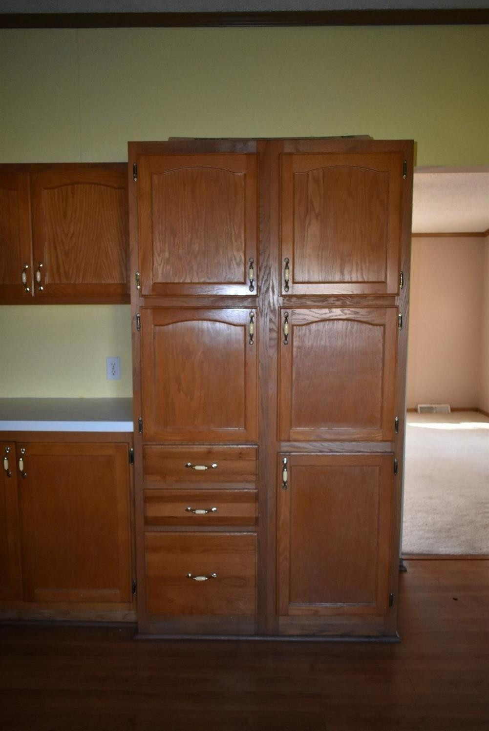 825 Ellison Bend Road Williamsburg, KY 40769 - Photo 10 of 34 Extra pantry space, lots of cabinets.