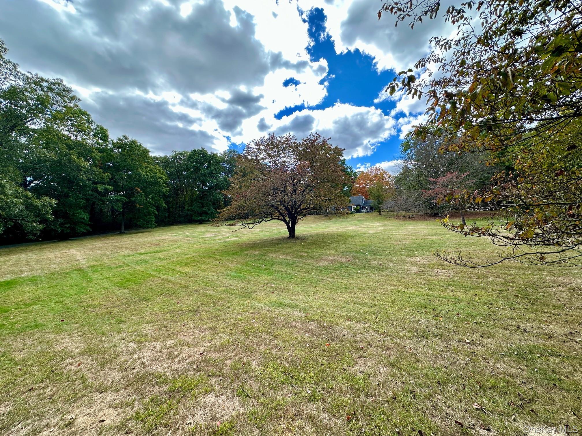 2003 Midlane Road South Muttontown, NY 11791 - Photo 2 of 5 View of green lawn