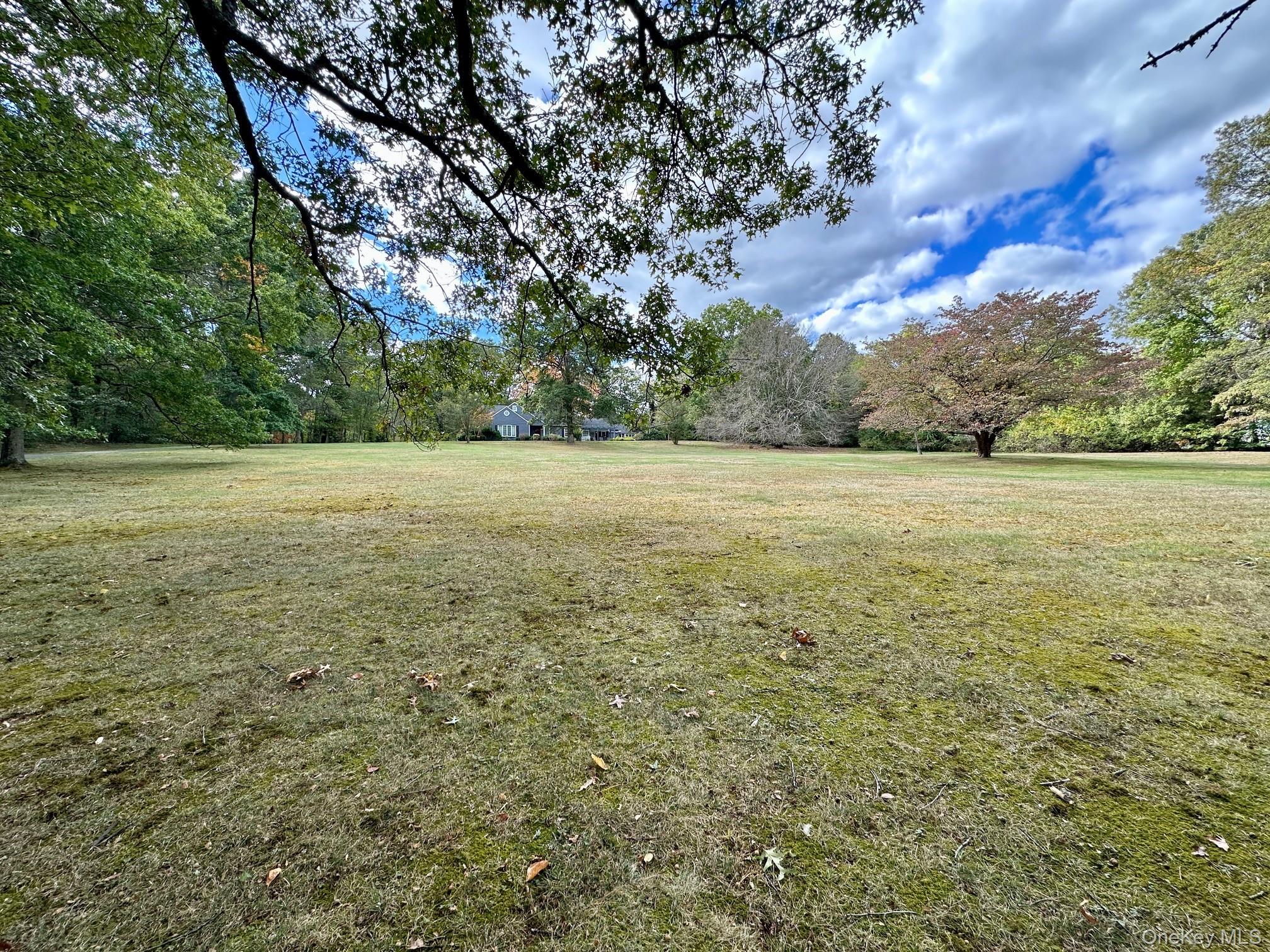 2003 Midlane Road South Muttontown, NY 11791 - Photo 3 of 5 View of grassy yard